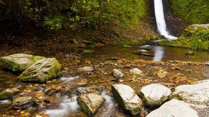 Lower section of Whitelady Waterfall flowing towards the River Lyd with autumn leaves in the water